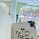 파머스티 용산점 | [용산/경리단길] 남산 자락 경리단길의 베트남 프랑스 대사관, 살라댕앰버시 내돈내산 리얼 후기