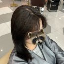 혁신동 주민센터 | 전주 혁신도시 미용실 추천 분위기 좋은 고급 헤어샵 염색 후기 아이디헤어 전주혁신점