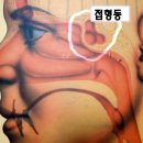 하품 / 광주 비염
