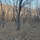 함양남서로 이미지