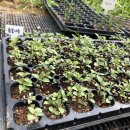 지해농장 이미지