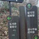 [전주여행] 완산공원 팔각정(겹 벚꽃 명소)......17 이미지