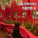 CU서산테라스S점 | 여수 라테라스 윈터빌리지 내돈내산 후기🎅 야경 포토존 입장요금 점등시간 총정리!