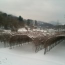 산바래기농장 이미지