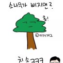 솔아재 네이버블로그