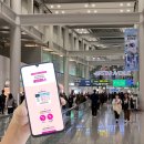 피자알볼로속초점 | LG 유플러스 일본로밍 요금제 후기 (추석 이벤트 꿀팁)