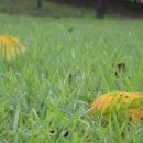 소향공원 이미지