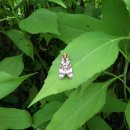 일진농장 이미지