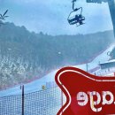 웨그(Wag) 이미지