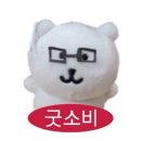 2월 일상 모음