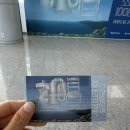 경주예술의전당알천미술관 | 초현실주의 100년의 환상 경주 예술의 전당 알천미술관 관람 꿀팁