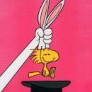 우드스탁 이미지