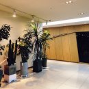 모비딕스크린골프(잠실) 이미지