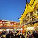 예원장식 | 상하이 가볼만한곳 예원 고덕지도 점등시간 야경명소 후기