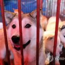 구포시장 상인회 이미지