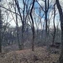 내곡동427 이미지