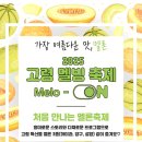 고령 멜빙축제 이미지