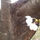 달과별들의이야기 이미지