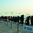 별빛뜨락 이미지