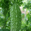 여주-0401 이미지