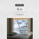 송남바다코앞에펜션 | 무창포해수욕장 오션뷰 펜션 라바풀빌라 후기