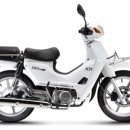 동전주모터스 이미지