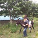 해동검도 북삼체육관 이미지