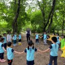 멘토태권도스쿨 이미지