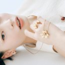 넬컬렉션