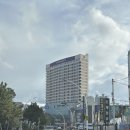 타니베이 호텔 | 울산 일산지 호캉스 바다가 보이는 오션뷰 타니베이 호텔 코너스위트 후기