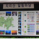 뱀사골야영장 이미지