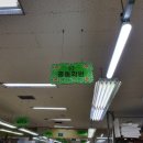 홍동화원