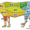 한우한마리 Daum카페