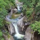 [26년 8월정기산행] 8월9일(일)울진/백암산&amp;신선계곡 트래킹 이미지