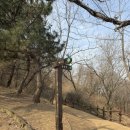 정자경로당 | 영종도 숨은 힐링 명소, 예단포 둘레길 산책 후기