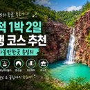 장호바다숲폔션 | 삼척 1박 2일 여행 코스 추천｜해양케이블카·해양레일바이크·환선굴·미인폭포 총정리