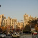 사파동102 이미지