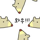 바른손타이