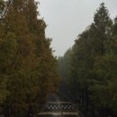 천화당한의원 이미지