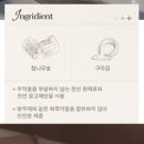 인센스 | 명상·휴식 필수템, 정말 연기없는 스모크리스 오크 인센스 사용 후기 [내돈내산] - 홀더 없을때 활용 꿀팁