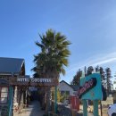 코코트리 | 제주 감성숙소 "호텔 코코트리" 4인 숙박 후기(+가족·친구 여행에 딱 좋아요♥)