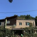 딱다구리매점 | 포천시 캠핑장 | 아버지의숲 산정캠프 물총새계곡(물총새둥지) 3사이트 후기