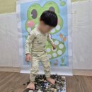 숲속꼬마어린이집 이미지