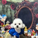 망고네 까까 이미지