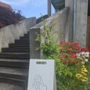 고영주택 | [김포] 고양이들의 고양이만을 위한_고영주택 (고양이카페 후기)