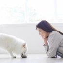 건강동물약국 이미지