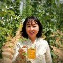 홉이든