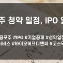 2월 공모주 청약 일정, IPO 일정에 대해 알아보도록 하겠습니다. 이미지