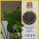 걸구쟁이네 이미지