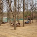 원적산공원 이미지